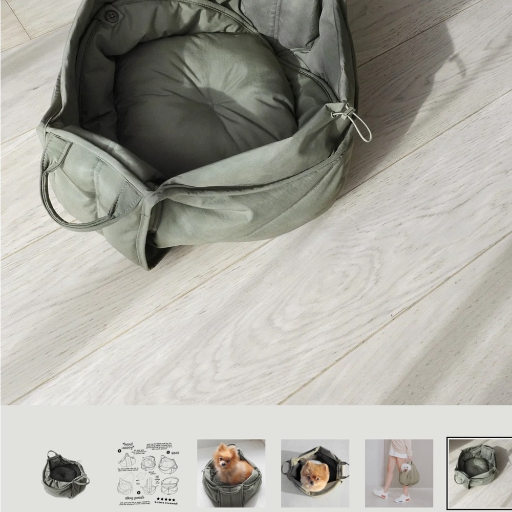 Sleek Green Dog Carrier for Travel